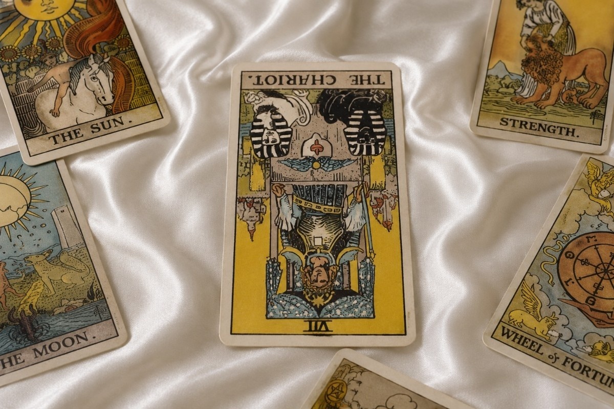 The Chariot Reversed: Meaning in Love, Career, Health, and More